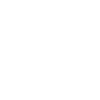 Housing Issue Icon